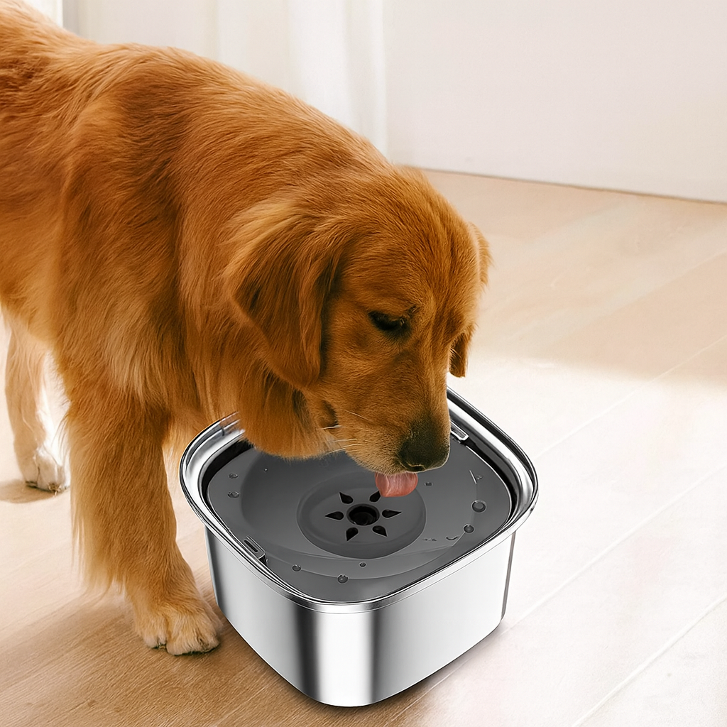 Gamelle anti-éclaboussures