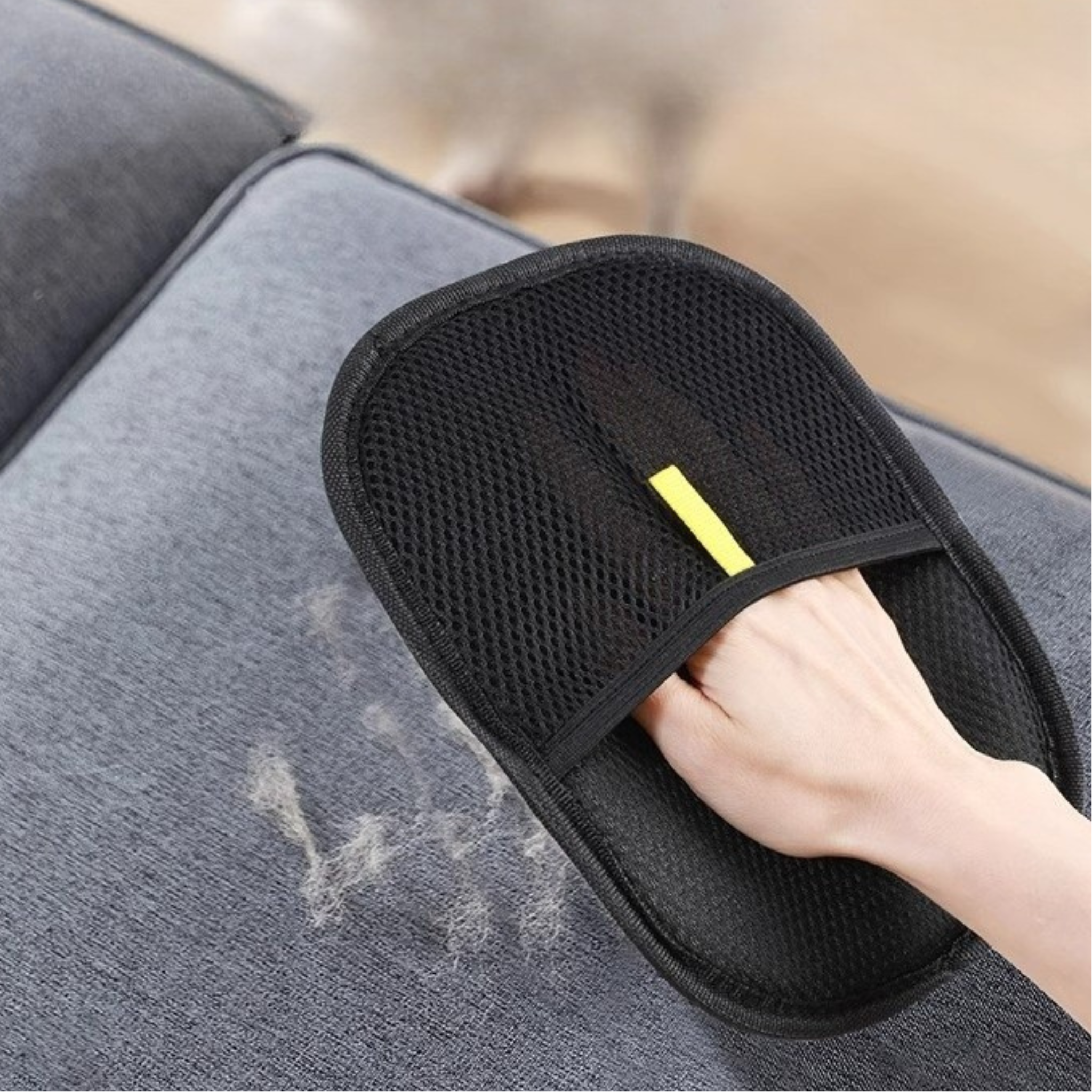 Gants de retrait de poils pour animaux